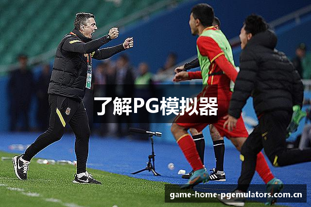 了解PG模拟器